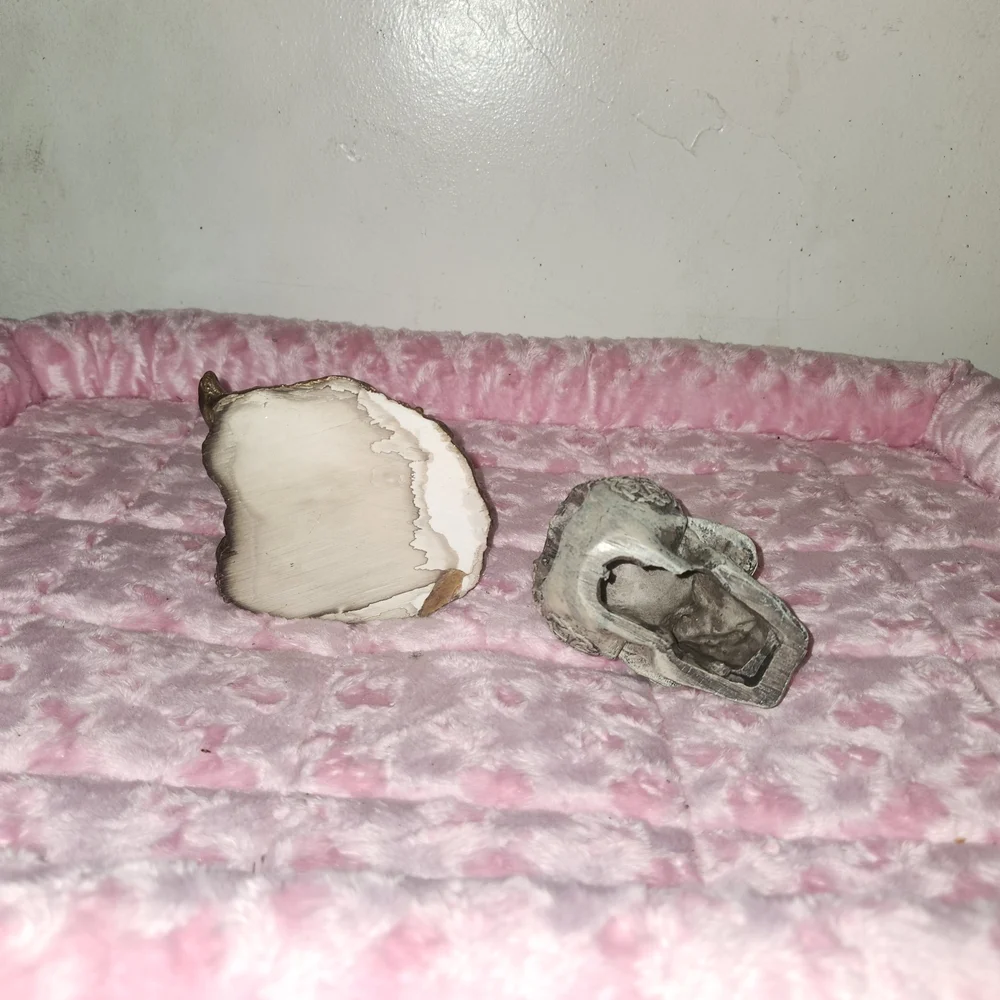 Mermaid and Skull Figurine Set
